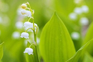 《星刃》大获成功 开发商Shift Up本季度收入创新高